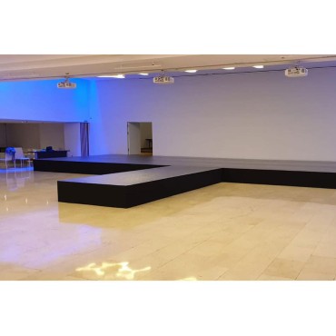 TARIMA PROFESIONAL GUIL TM300