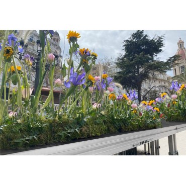 TARIMA PROFESIONAL GUIL TM300