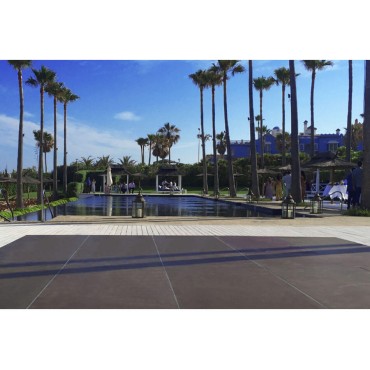 TARIMA PROFESIONAL GUIL TM300