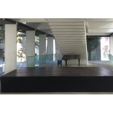 TARIMA PROFESIONAL GUIL TM300